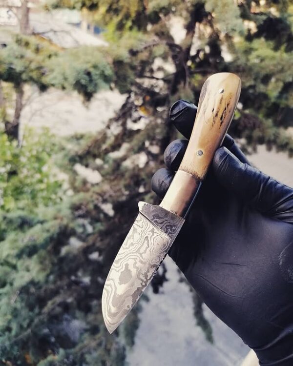 Damascus Boynuz Bıçak