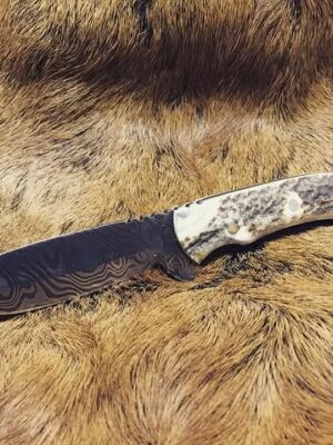 Damascus Avcı Bıçağı - Geyik Boynuzu Sap