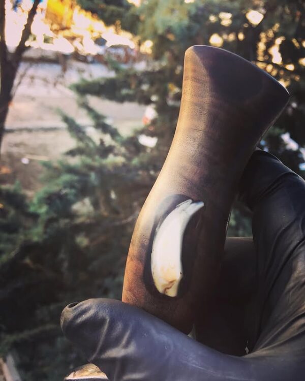 Damascus Desenli Diş Detaylı Av Bıçağı